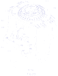 Sheet 48